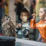 Lindsay Wildlife Experience