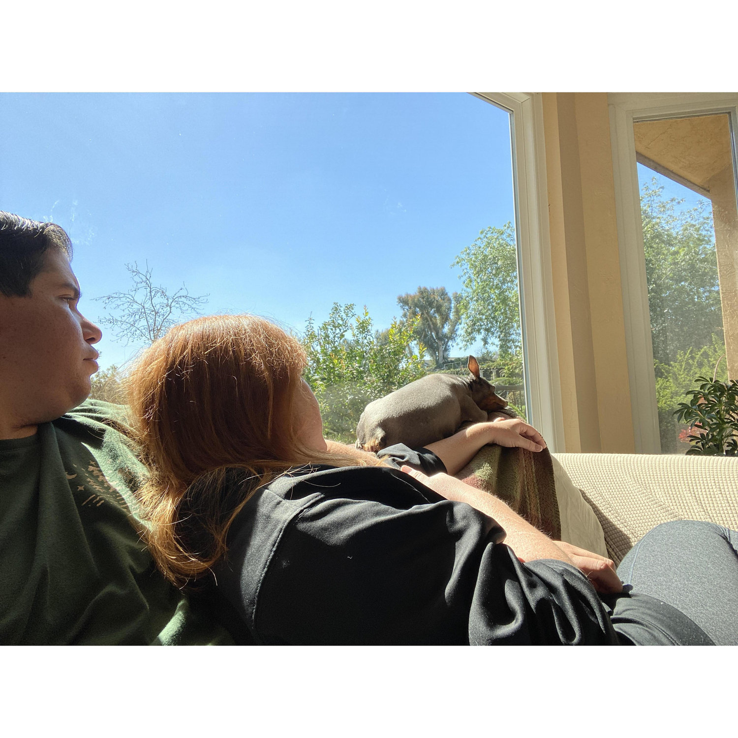 We sit in the sun with Ginger, something she does all day