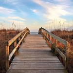 Sullivan's Island Beach