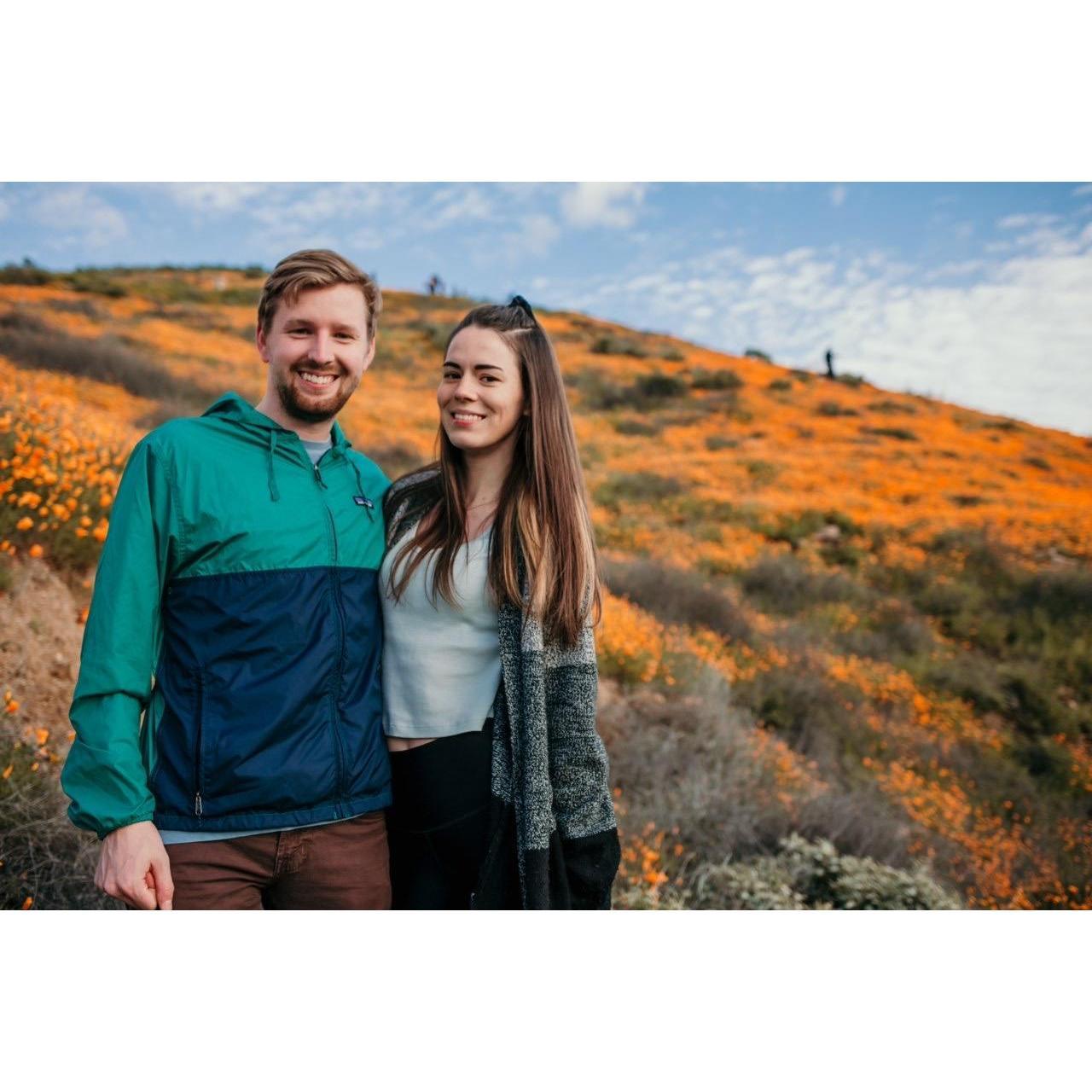 Our first experience with the flower super-bloom in California