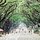 UP Diliman Sunken Garden