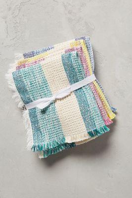 Stripewise Dishcloth Set