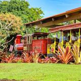 Dole Plantation