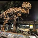 Museum of the Rockies