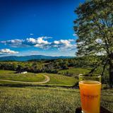 Great Valley Farm Brewery and Winery