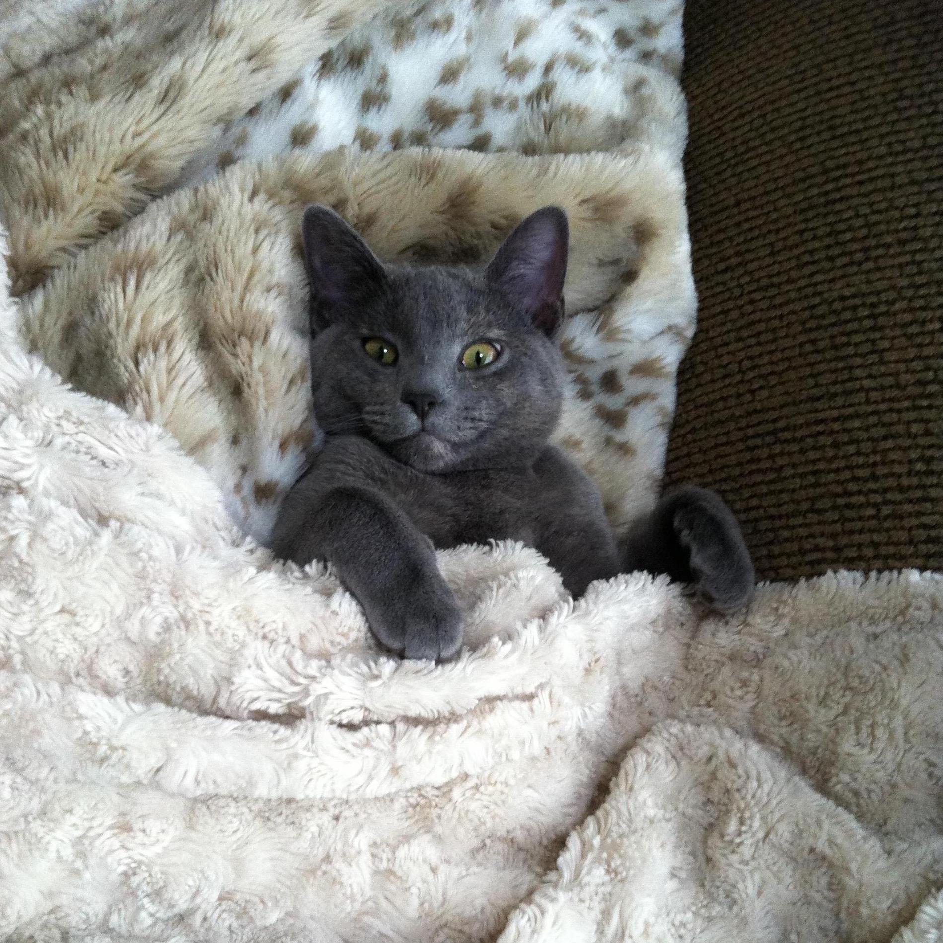 It wouldn't be right if we didn't throw some pictures of Sashy in here too!