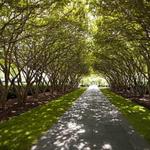 The Dallas Arboretum and Botanical Gardens