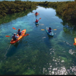Kayak Tour