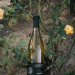 Vinos Lechuza
