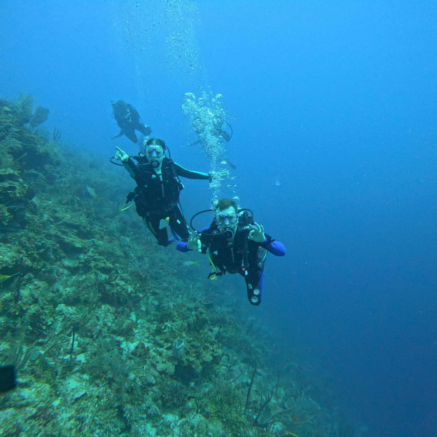 Honeymoon: Scuba Diving