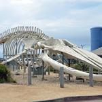Seymour Marine Discovery Center