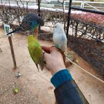 Caldwell Zoo