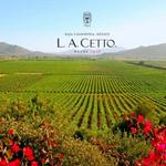 L.A. CETTO - Boutique Valle de Gpe.