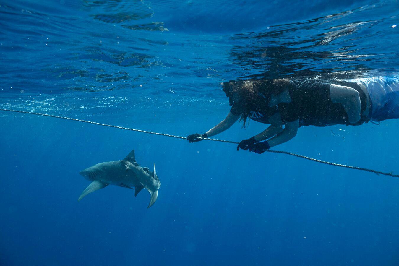 Bucket List conquerers!