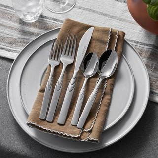 Rapture 45-Piece Stainless Flatware Set, Service for 8