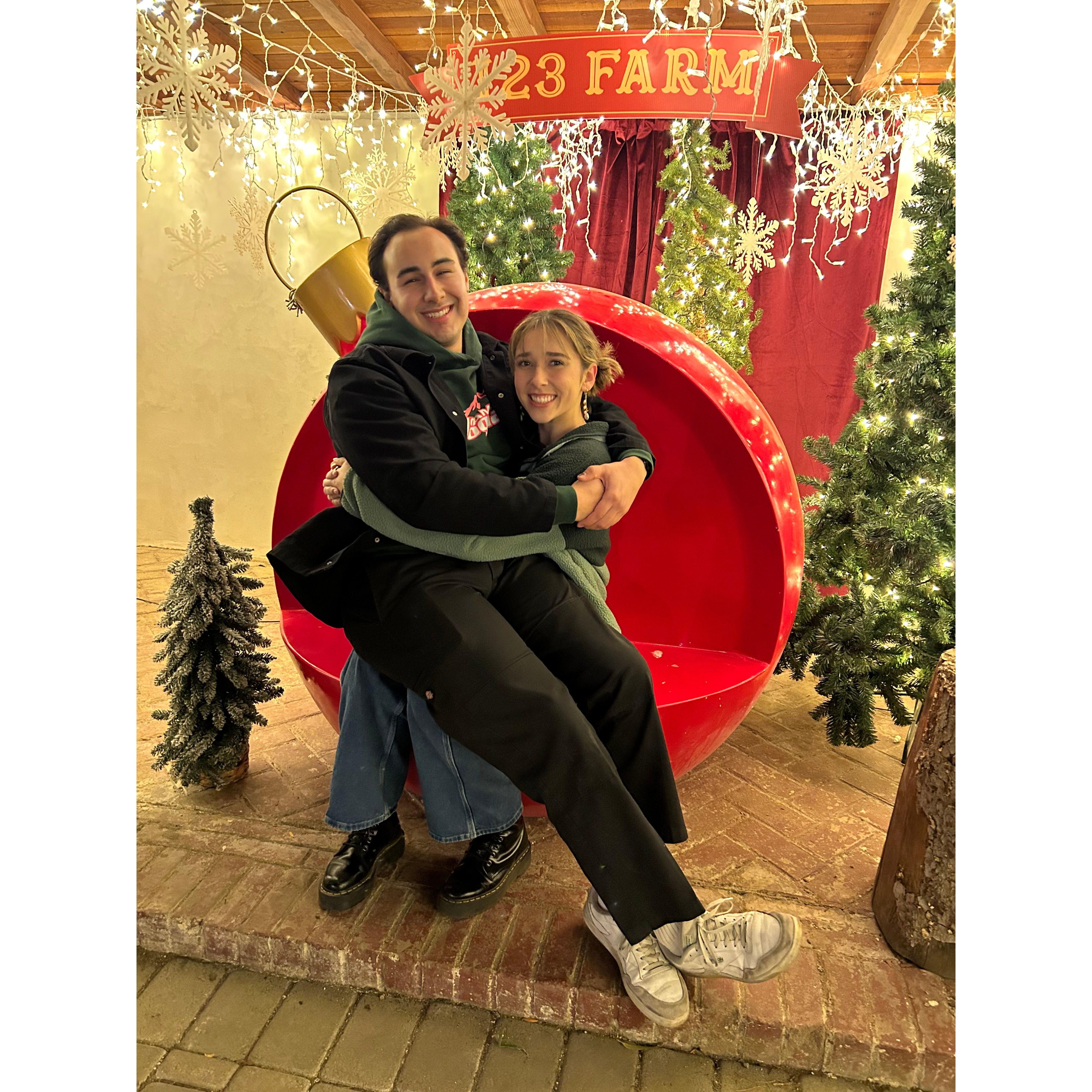 Christmas tree farm (2023)