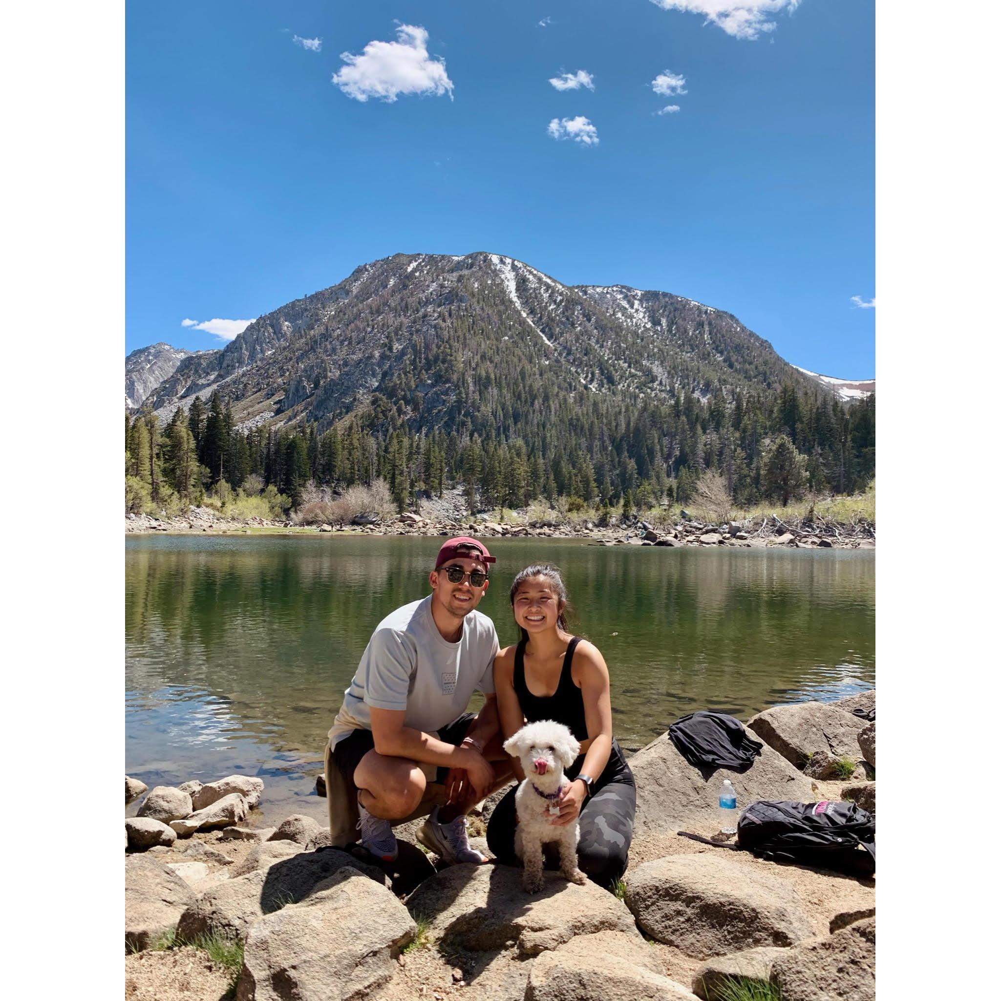 Mammoth 2021