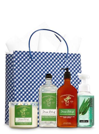 AromatherapyEucalyptus SpearmintUltimate Fragrance Fan Gift Kit