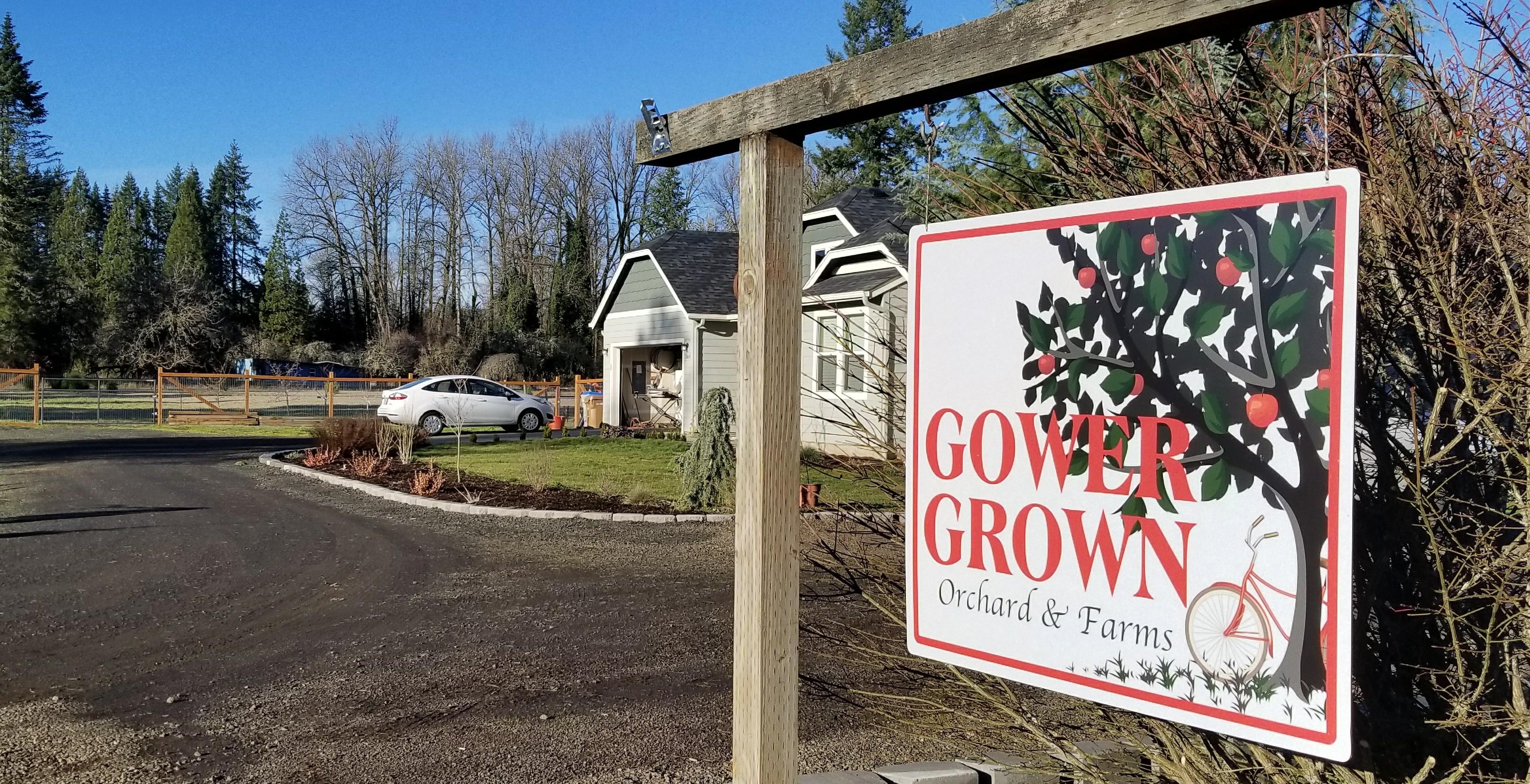 The Wedding Website of Mackenzie Wainwright and Matt Gower