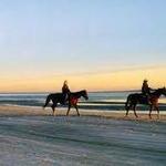 Amelia Island State Park