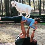 Goat Yoga at Serenbe