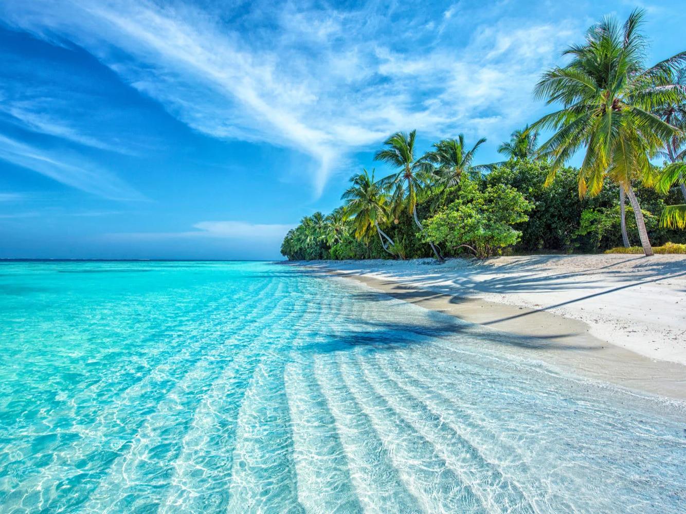 521ff7b9-7b34-42f7-93bf-c9955edd38bd