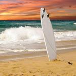California Surf Experience