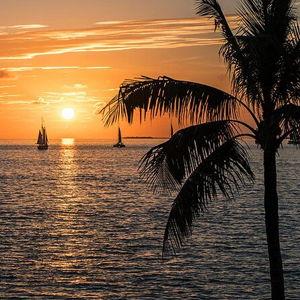 🌅 Sunset Dinner Cruise - Keys, FL.
