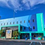 Mote Marine Laboratory & Aquarium