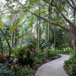 Harry P Leu Gardens