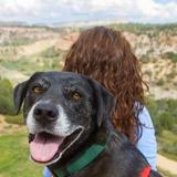Best Friends Animal Sanctuary