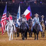 Houston Rodeo