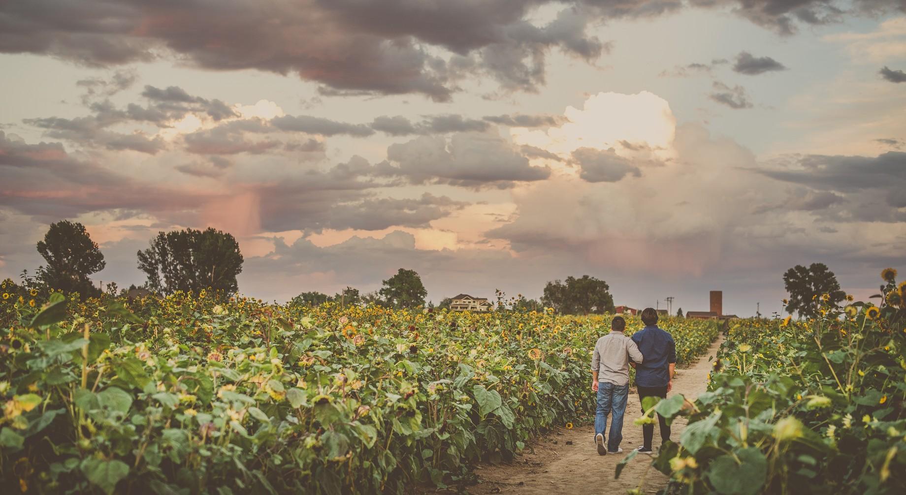 The Wedding Website of Nicholas Rusho and Jeff Ngo