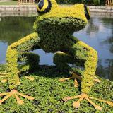 Atlanta Botanical Garden
