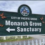 Monarch Butterfly Sanctuary