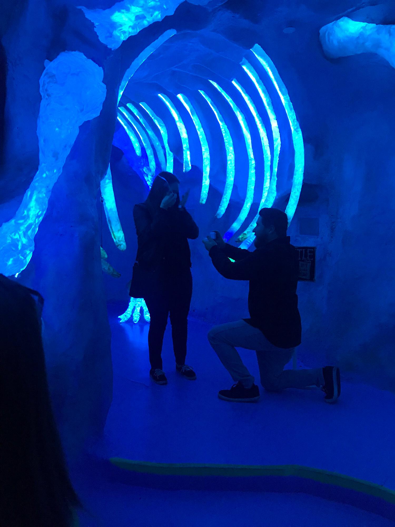 Proposal at Meow Wolf!