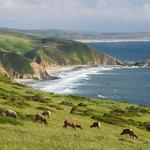 Point Reyes National Seashore