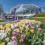 Phipps Conservatory and Botanical Gardens