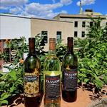 Passion Cellars