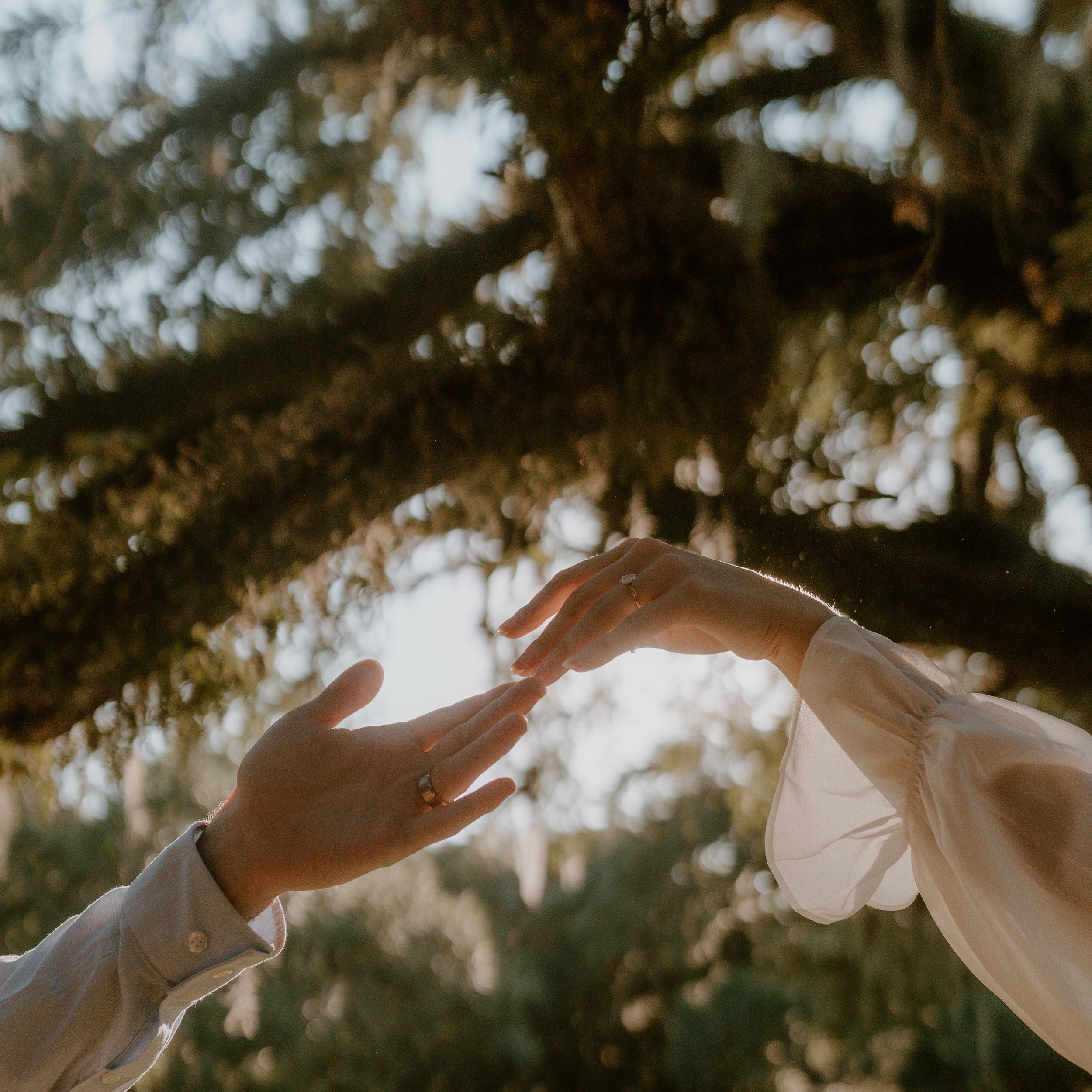 Hero Slideshow Image 2