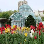 Brooklyn Botanic Garden