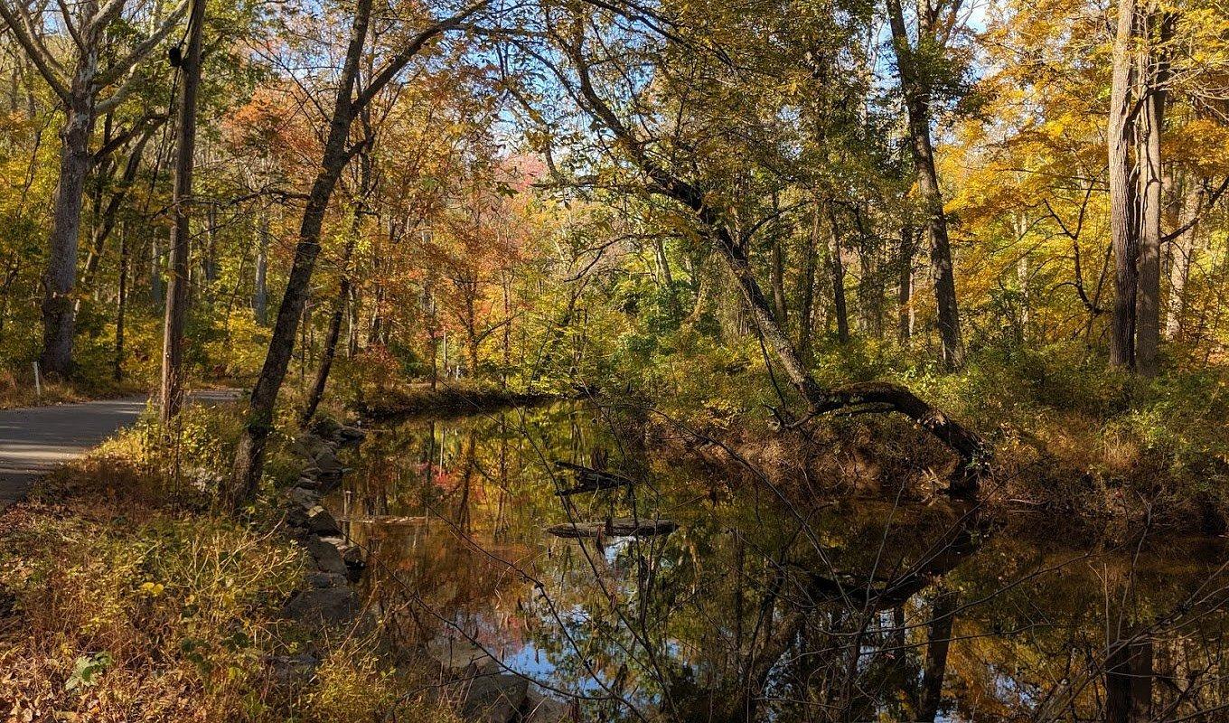 The Wedding Website of Chloe McCormack and Chuck Braun