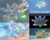 Lotus rainbow film decal