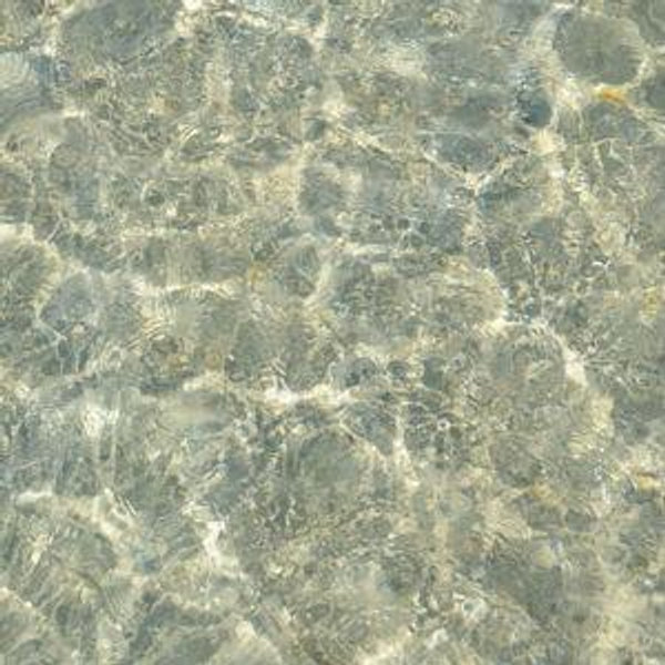 Island Snorkel Trip