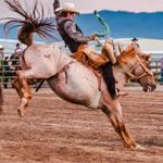 Teton Valley Rodeo