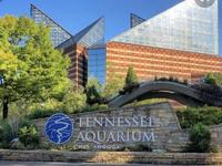 Tennessee Aquarium