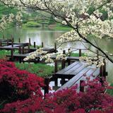 Missouri Botanical Garden