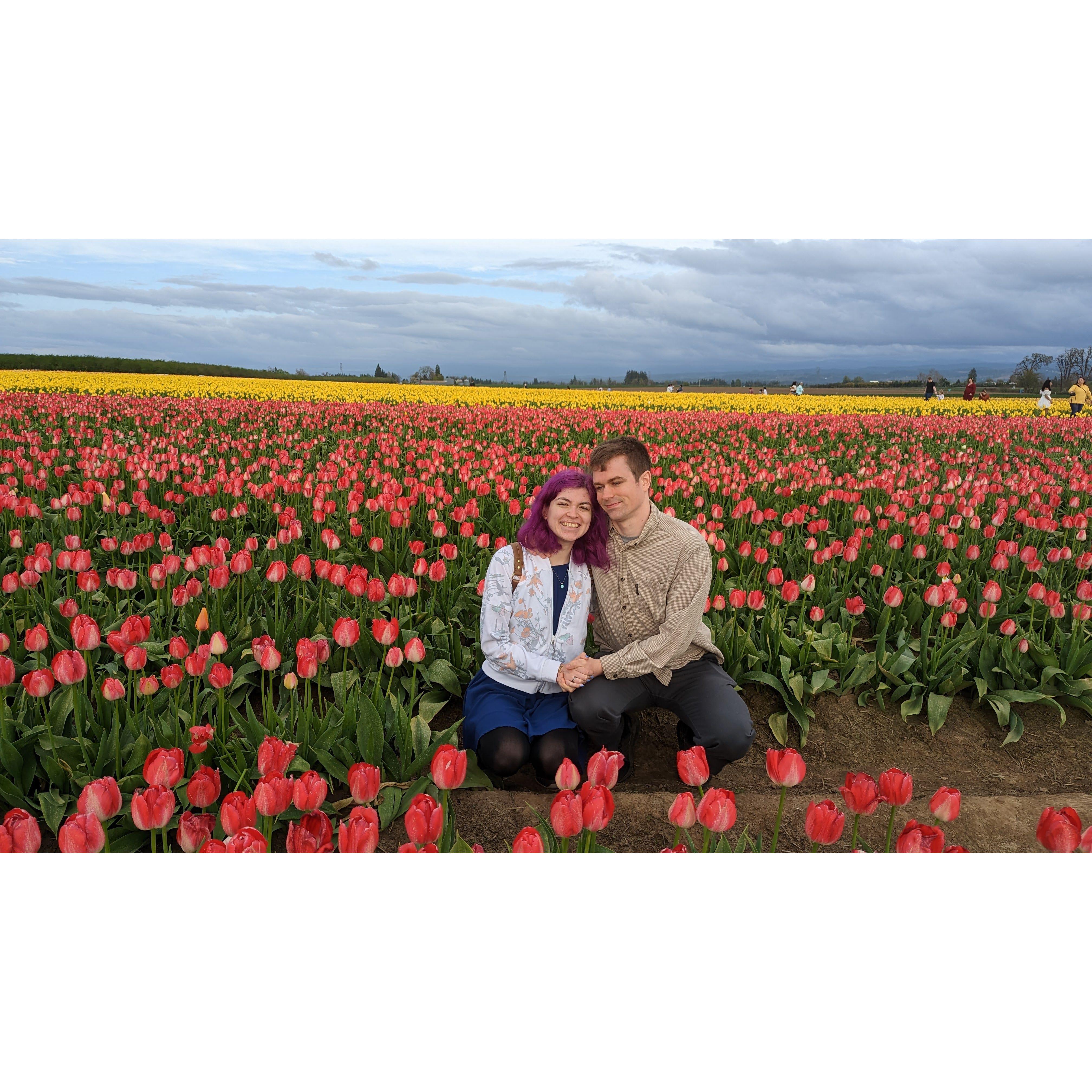 Tulip Festival