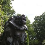 Smithsonian National Zoological Park