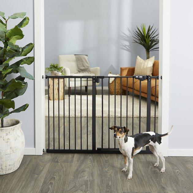 FRISCO Extra Wide Auto-Close Pet Gate, 30-in Height, Black - Chewy.com